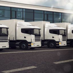 Top 4 Trucking Organizations for Transport Fleet Professionals