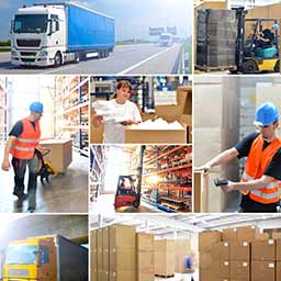 May jobs report shows trucking industry stability despite ELD mandate speculation
