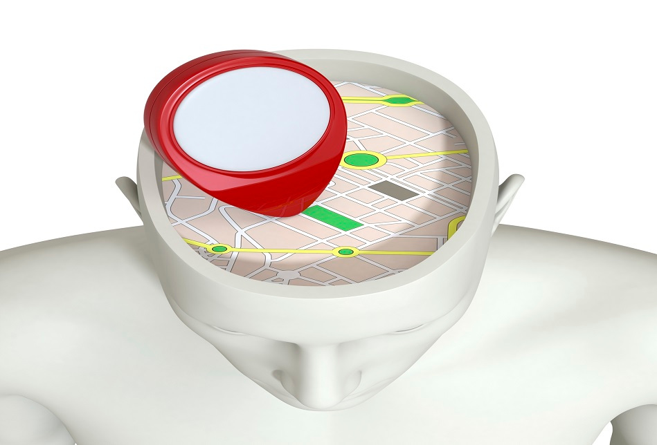 GPS and the Brain Teletrac Navman US