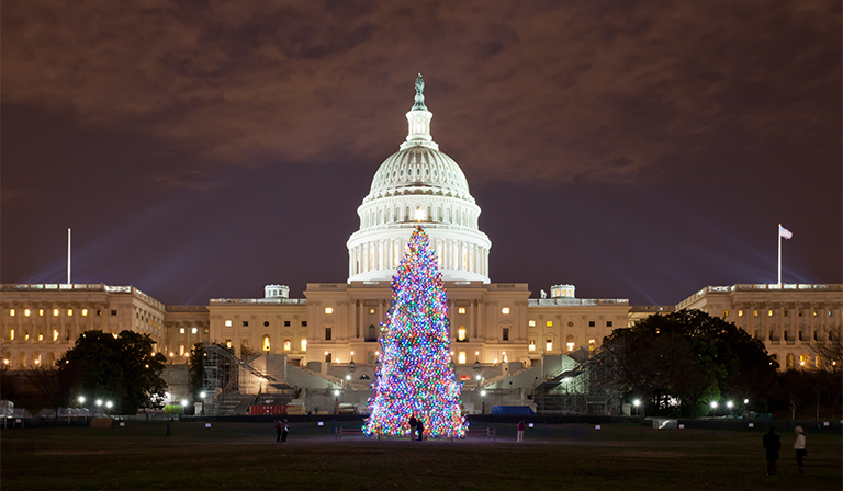 capitol christmas tree begins journey across america when did christmas start in america