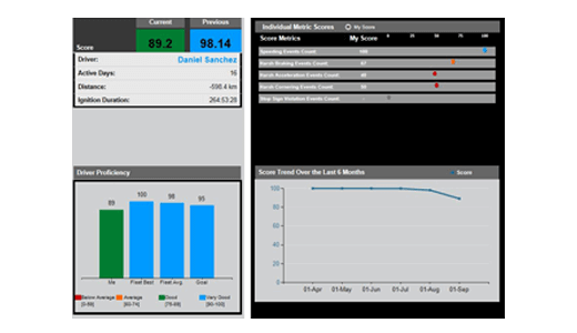 Teletrac Navman Customizable Driver Scorecards