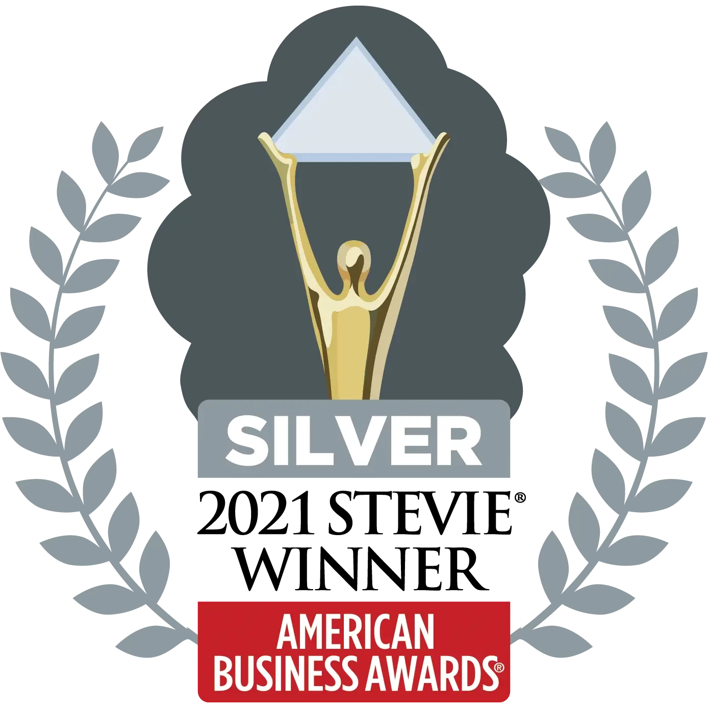 2021 Silver Stevie Award | Best New Transportation Product for TN360