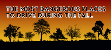 [Infographic] Dangerous Driving Behavior During the Fall - Teletrac ...