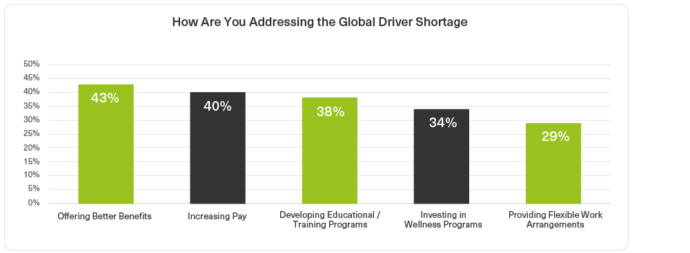 Global Driver Shortage
