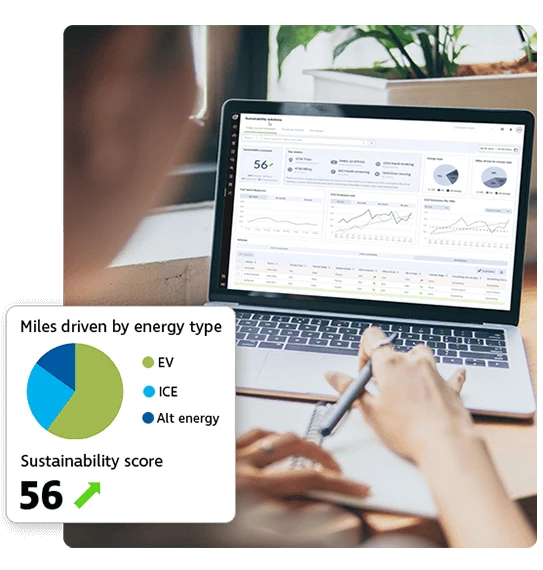 My Sustainability Journey Image