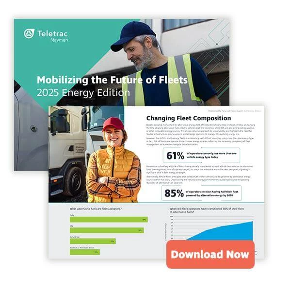 MtFoF Report Download