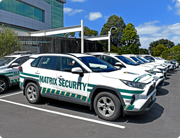 Matrix Security Group 600X460